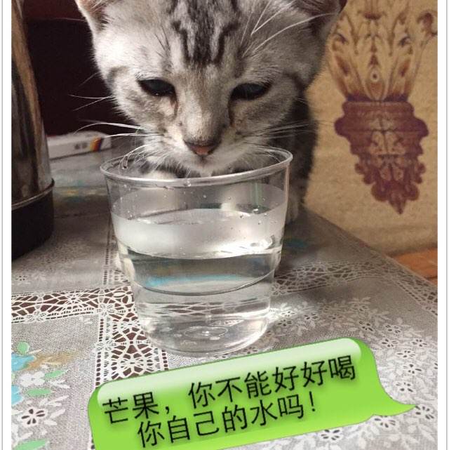 代办韩国高神大学成绩单